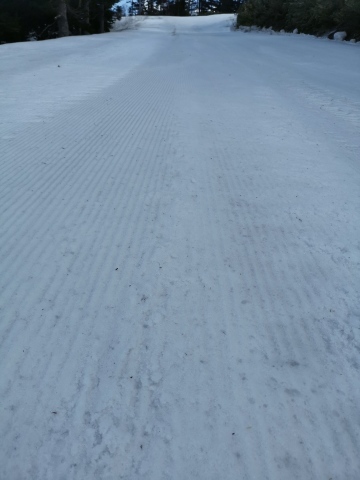 f0236449_12461402.jpg