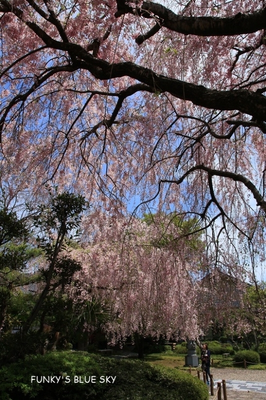 c0145250_10553938.jpg
