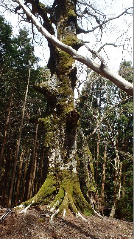 c0097754_13592231.jpg