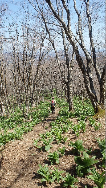 c0097754_14264719.jpg