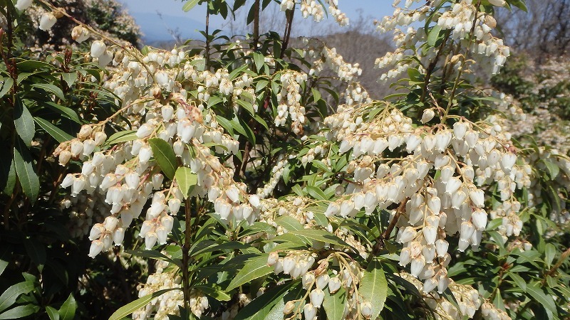 c0097754_14274190.jpg