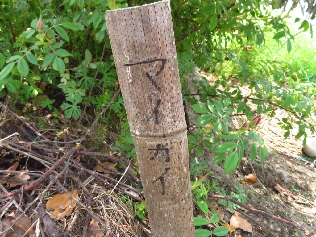 a0018655_08441373.jpg