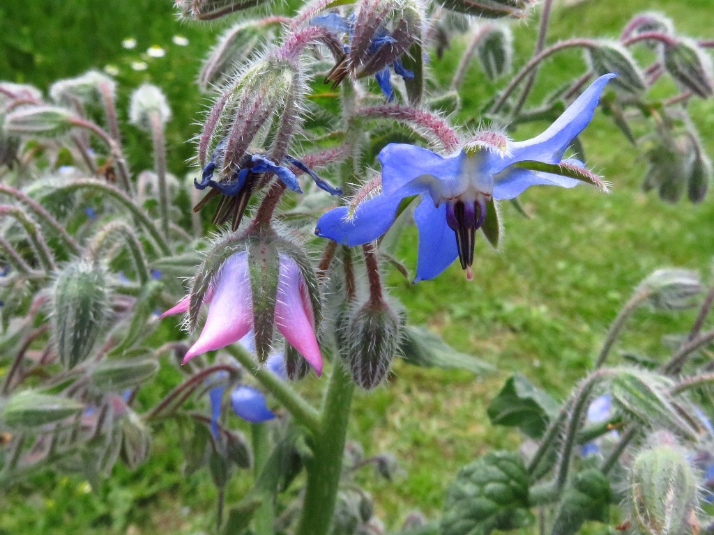 a0018655_09033891.jpg