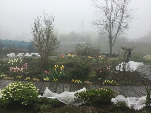 a0053063_16414260.jpeg