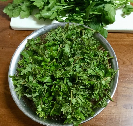 a0053063_17000927.jpeg