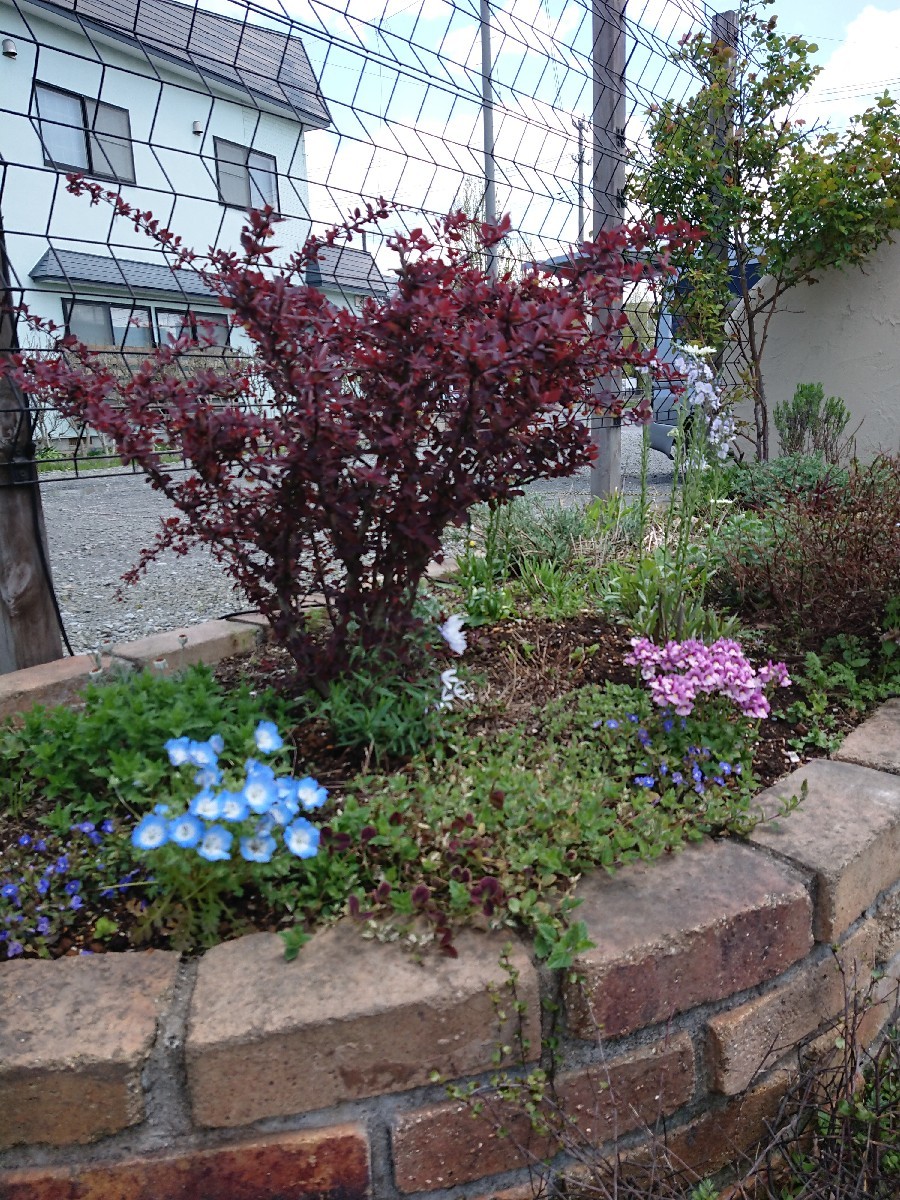 f0201565_19491107.jpg