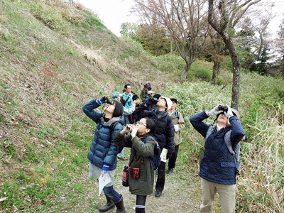 f0140773_14023305.gif