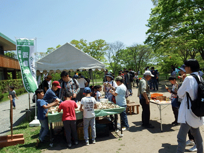 f0140773_15261870.gif