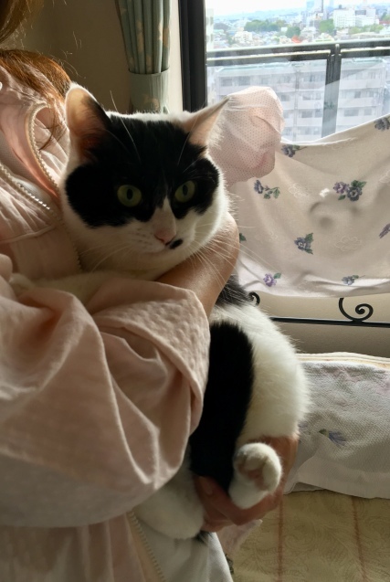 c0268274_00063838.jpeg