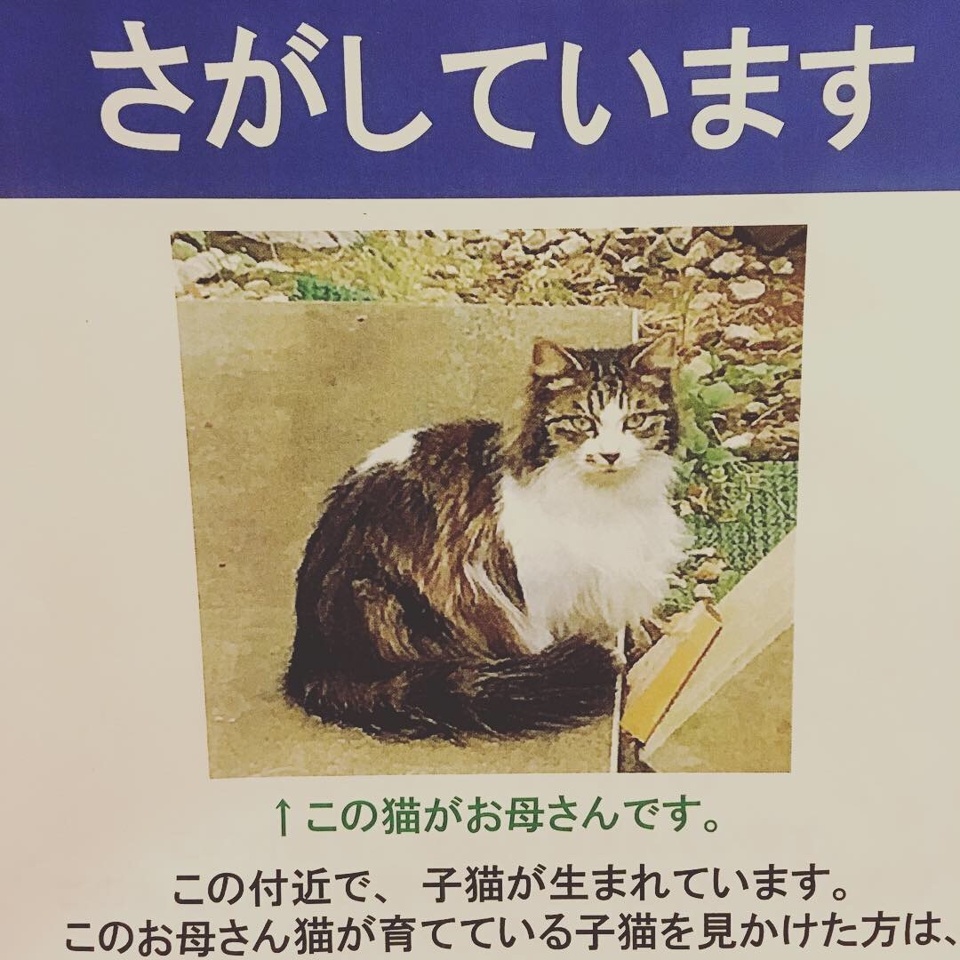 c0268274_00071279.jpeg