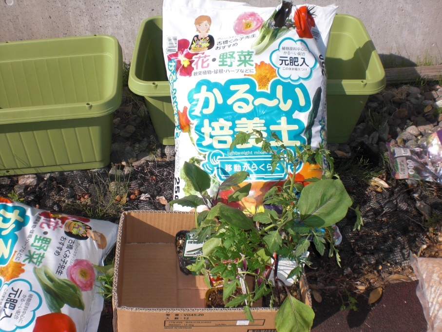 種まき_e0191174_21184984.jpg