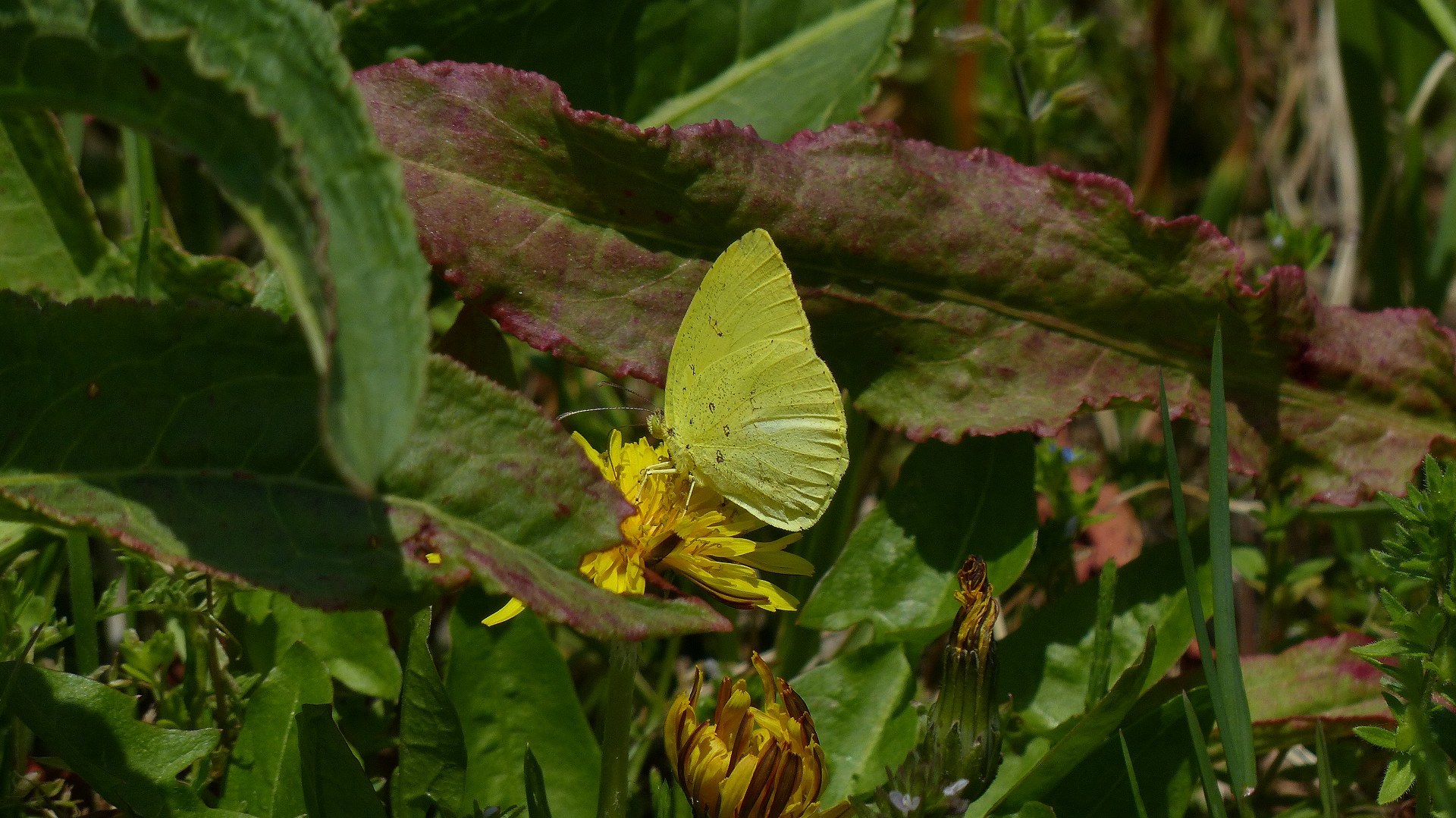 a0185081_13210246.jpg