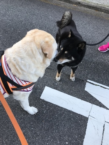 f0315081_21583216.jpeg