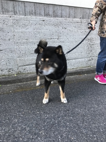 f0315081_21592186.jpeg