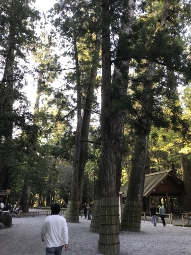f0315081_22072088.jpeg