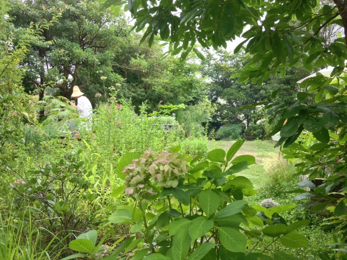 Kusaniwa Open Garden 2019　ー 5月18.19日 ー　開催_b0167282_14275682.jpg