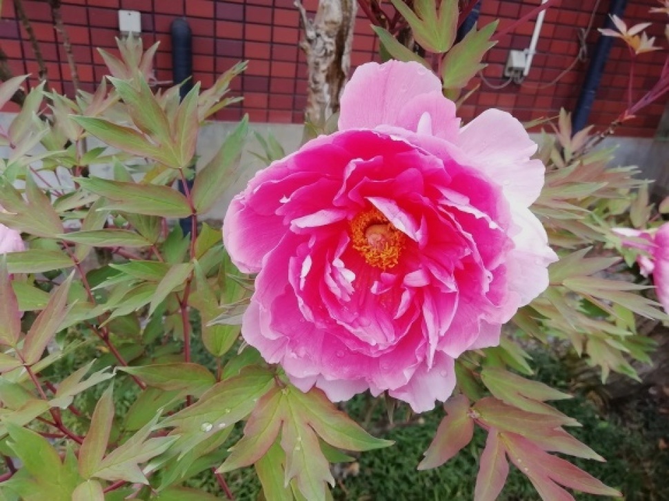 c0212083_17481457.jpg