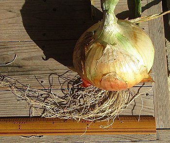 f0003283_07540120.jpg