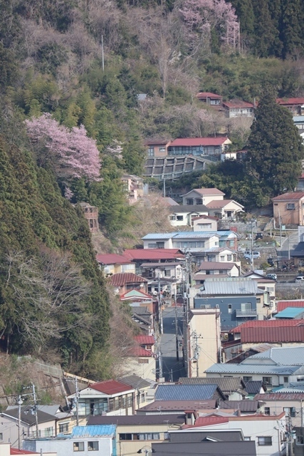 d0181492_18140040.jpg