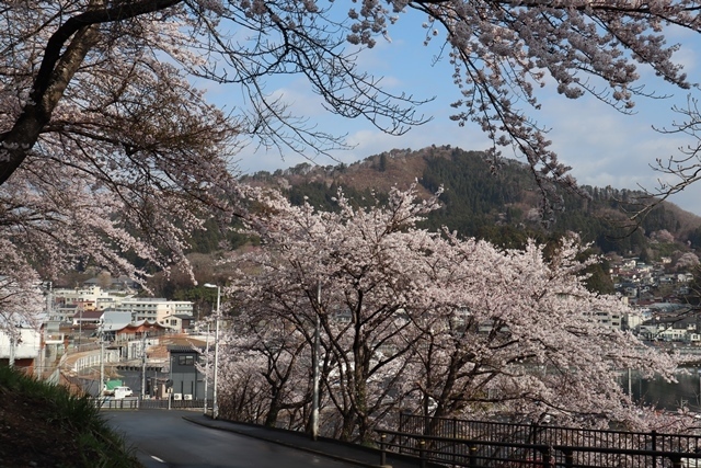 d0181492_18181777.jpg