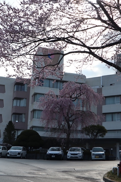 d0181492_18213736.jpg