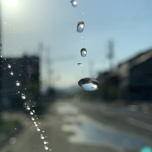 なんて清々しい空気 令和になって最初のパン焼き_a0134394_07124558.jpeg