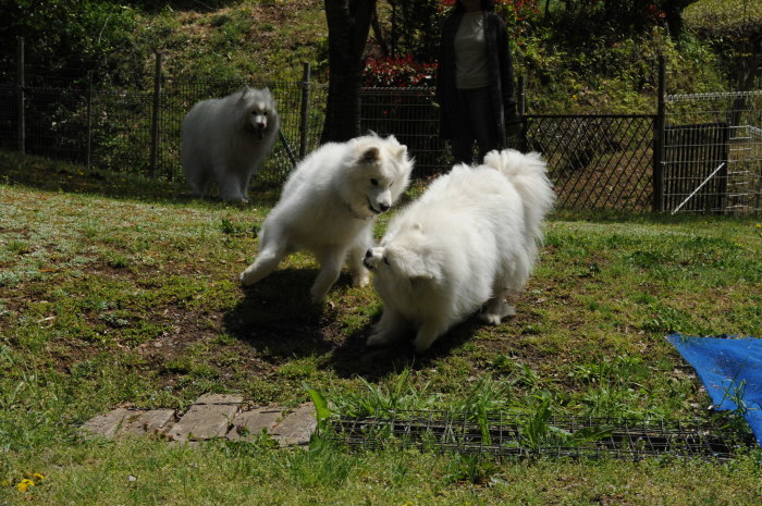 a0049296_18364621.jpg