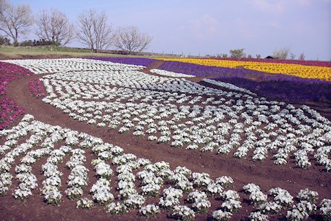c0090198_20051553.jpg