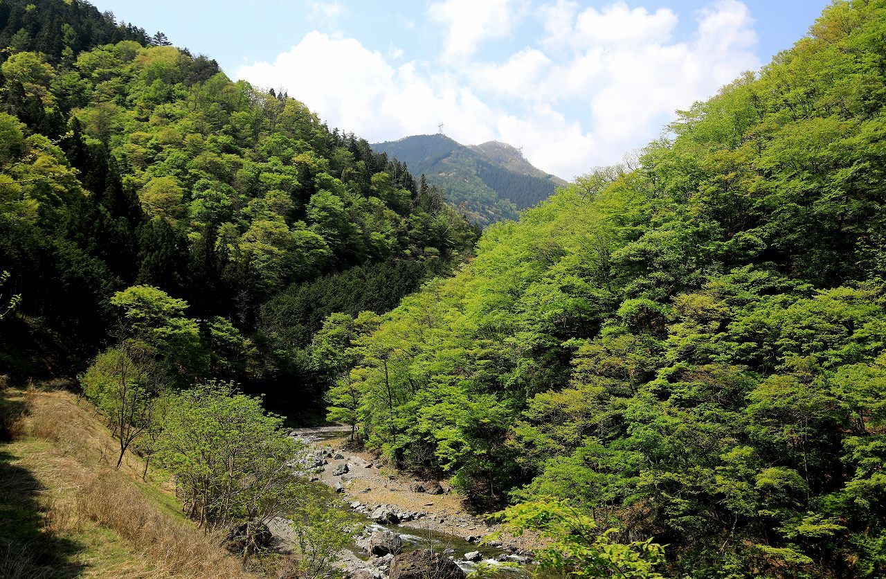 群馬県のお山にて_f0296999_18405518.jpg