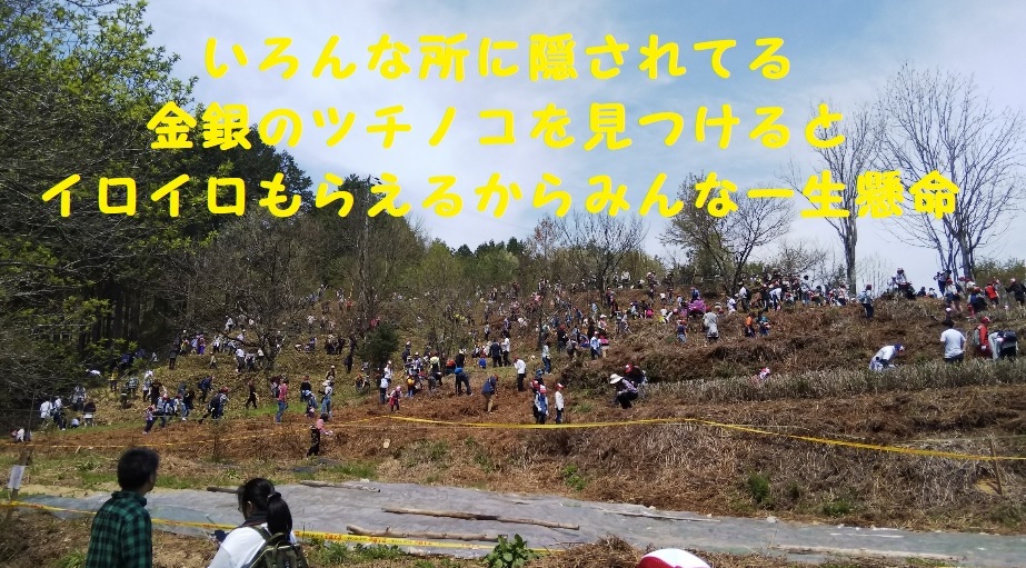a0113003_11443404.jpg