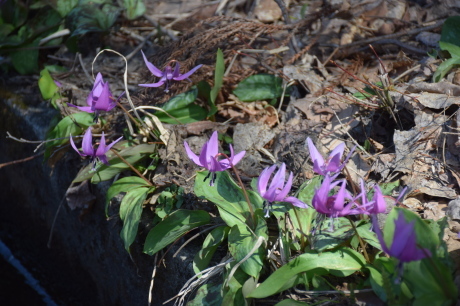 c0242406_13183016.jpg