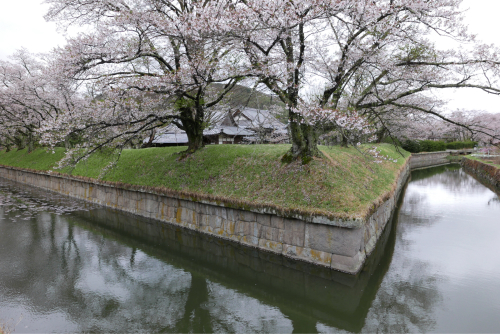 天界の村を歩く2 関東山地 南牧川_d0147406_16240054.jpg