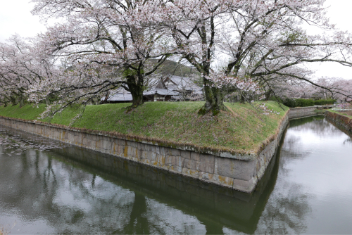 天界の村を歩く２ 関東山地 南牧川_d0147406_16240054.jpg