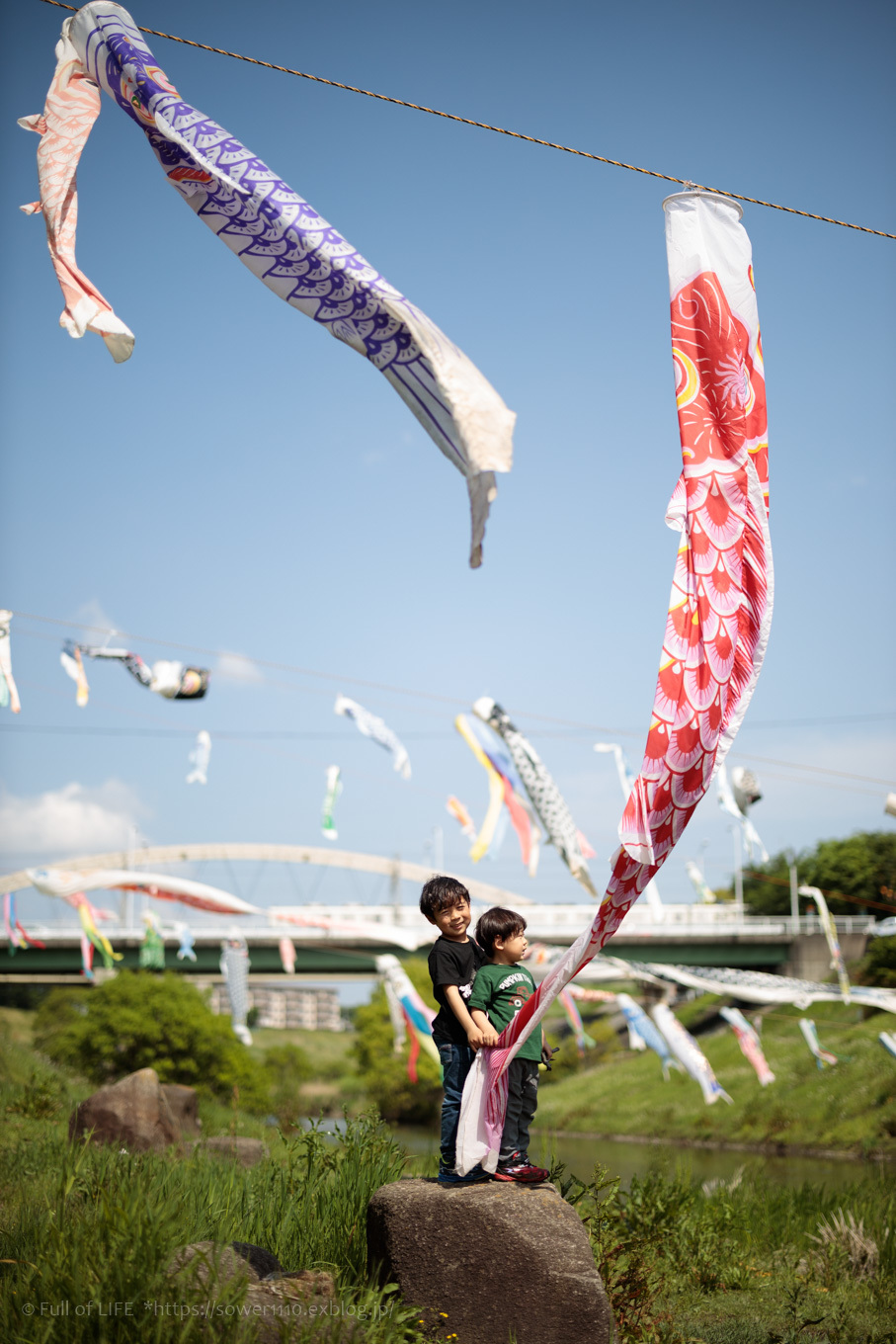 GWは鯉のぼりを見に行こう！「運河水辺公園」泳げ鯉のぼり_c0369219_11100075.jpg