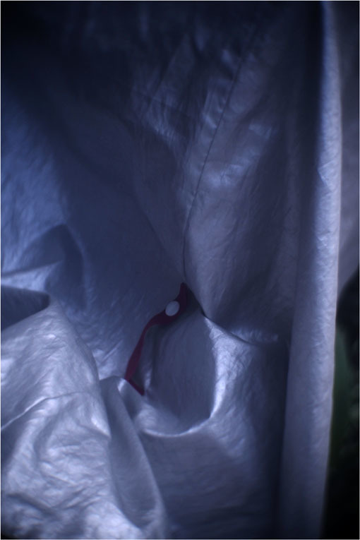 b0226423_17351458.jpg