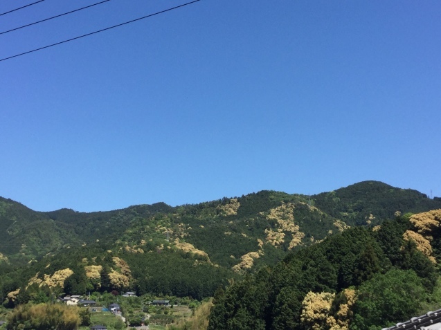 c0326723_08175002.jpeg
