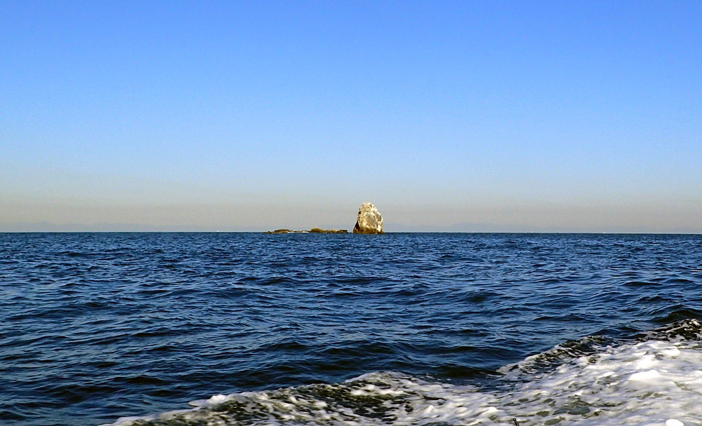 d0171823_20153603.jpg