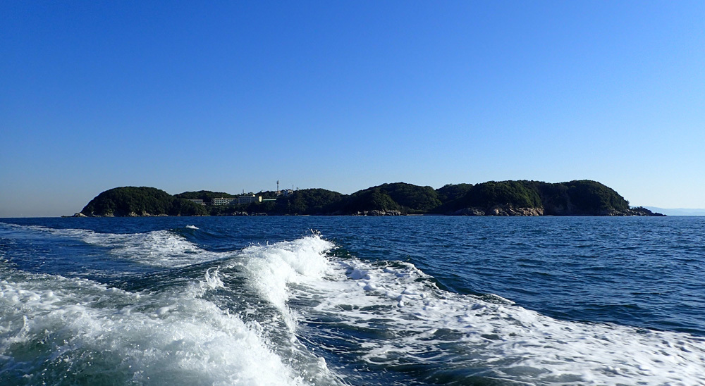d0171823_20191064.jpg