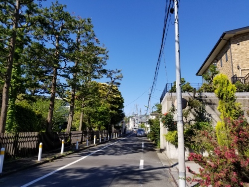 白く笑う 「すべての、白いものたちの」(ハン・ガン)_e0016828_09491065.jpg