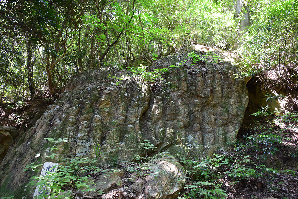 日本最大の山城、高取城登城記。 その7 <五百羅漢>_e0158128_15460668.jpg