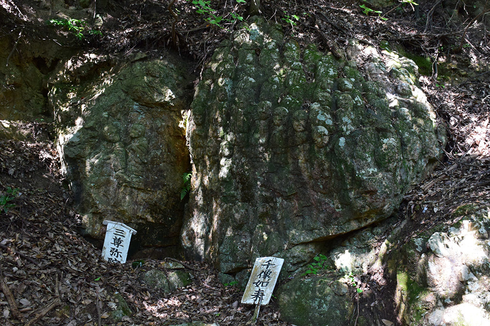 日本最大の山城、高取城登城記。 その7 <五百羅漢>_e0158128_15553326.jpg