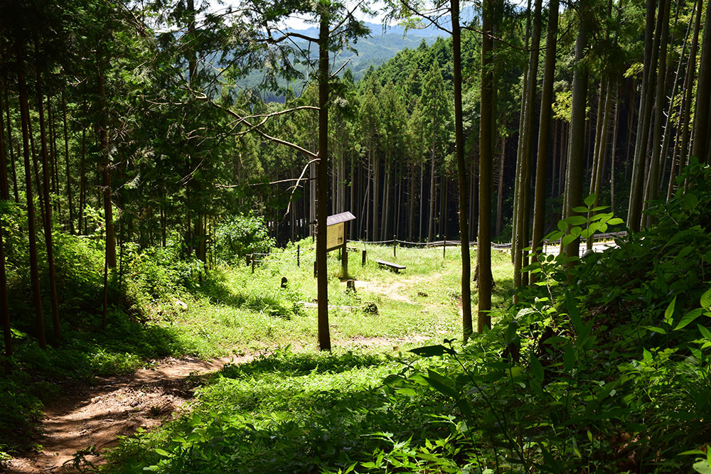 奥大和の宇陀松山城跡登城記。 <前編> 登城道_e0158128_16364165.jpg