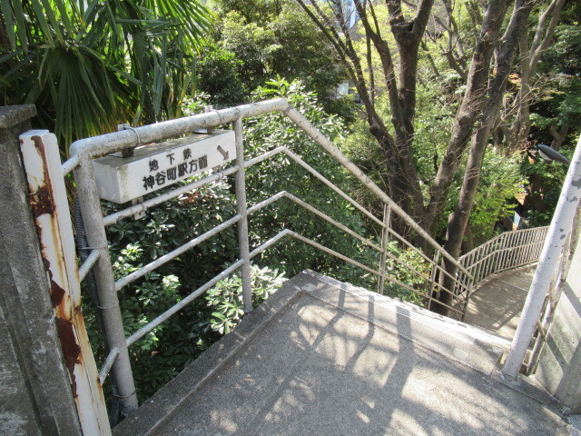 c0217931_19504443.jpg