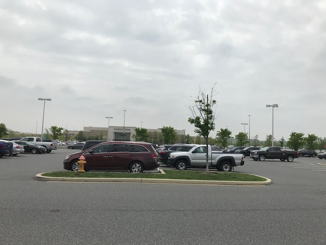 d0269832_05312791.jpeg