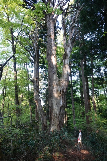 f0118332_23513934.jpg