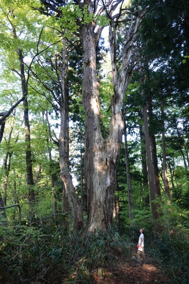 羽黒山に寄り道_f0118332_23513934.jpg