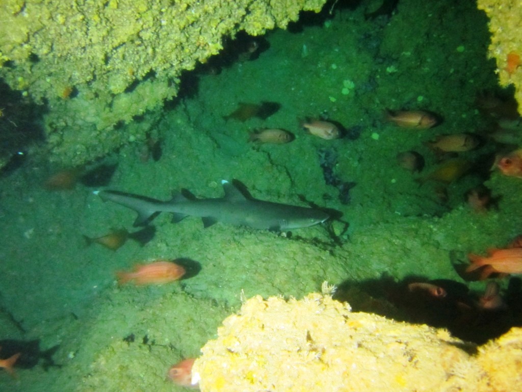 a0189838_05230805.jpg
