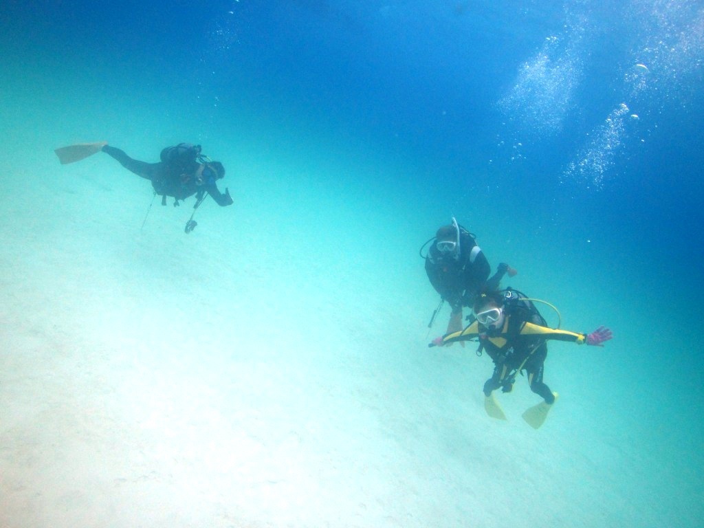 a0189838_05271774.jpg