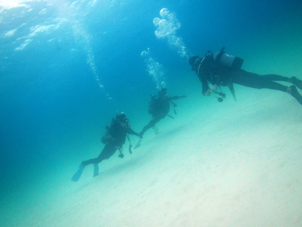 a0189838_05292737.jpg