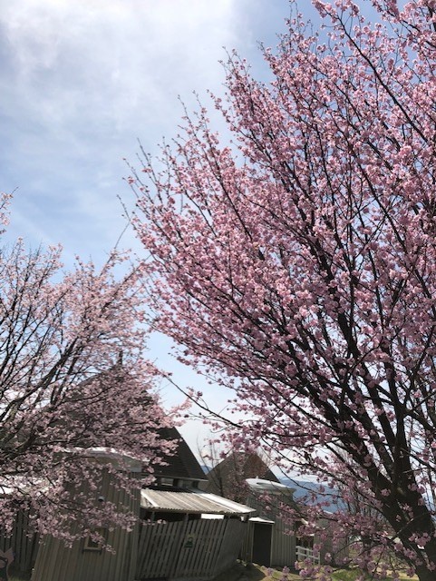 雄大な山々に囲まれまったりとリフレッシュ☆_c0152341_10365587.jpg